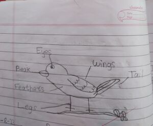 31541-KTM-KUNJ-AVENTHIKA VINEESH.jpg