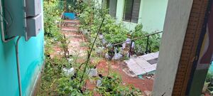 43337-organic farm.jpg