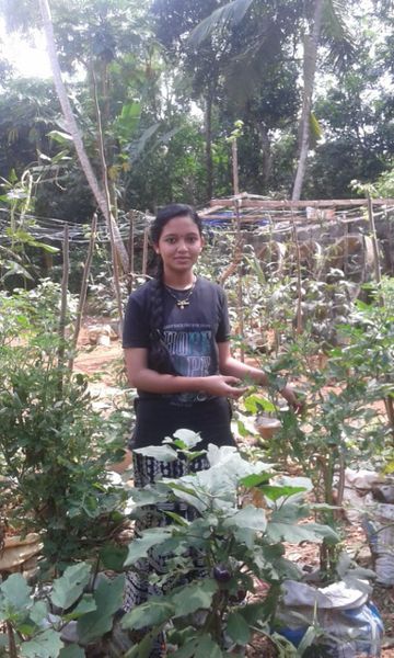 പ്രമാണം:44029 686.jpeg