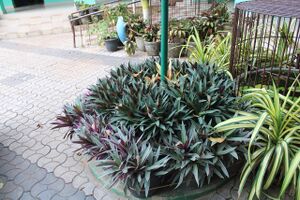 44050 22 15 a10.jpeg