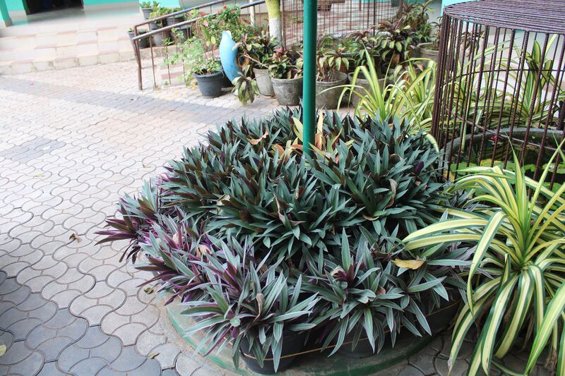 പ്രമാണം:44050 22 15 a10.jpeg