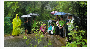 47571-environment day-2026-00000000a0087208ac843612fcaafb0b.png