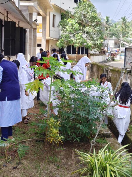 പ്രമാണം:48137-enviorment day.jpg