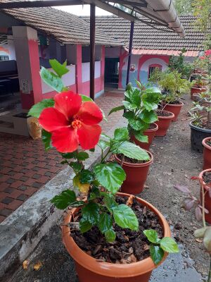 WhatsApp Image 2022-03-11 at 12.03.00 AM.jpg