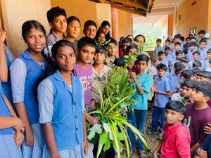 12029 kgd lk24-27-2025envtday4.jpeg