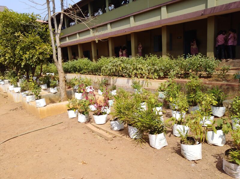 പ്രമാണം:19068 SEED 2.jpeg