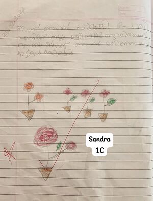19667-MLP-KUNJ-SANDRA.jpg