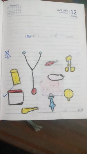 20007-PKD-kunj-Ayisha azly.jpg