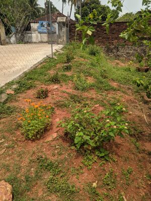 22212cnn chithrapathamgam.jpg