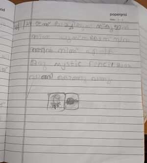 23334-TSR-KUNJ-NANDAN KS STD1.jpg