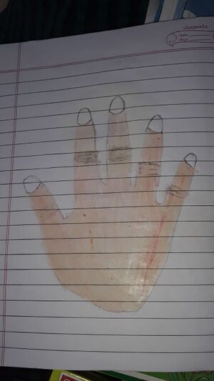 26327-EKM-KUNJ-EVELIN MARIAA.jpg