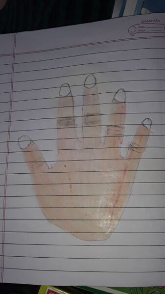 പ്രമാണം:26327-EKM-KUNJ-EVELIN MARIAA.jpg