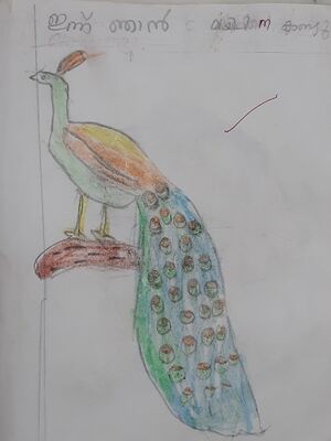 32206-KTM-KUNJ-AAMI VINOY.jpeg