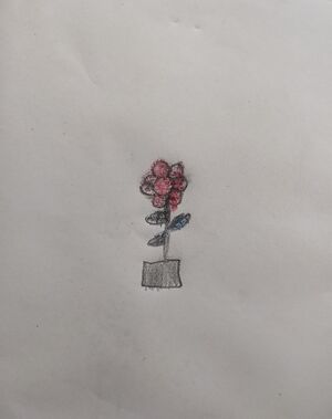 33523-KTM-KUNJ-SHAN JOSEPH SIJO.jpeg