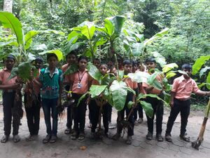 34035 UPLOADS PD6(17).jpeg