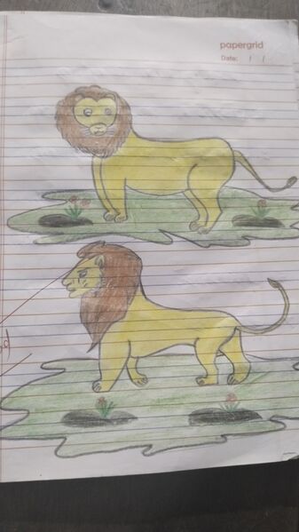 പ്രമാണം:41657-KLM-KUNJ-AKSHAY 1.jpg