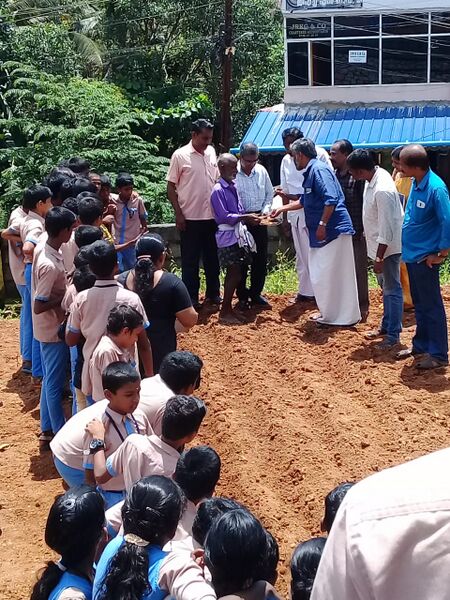 പ്രമാണം:42560 കരനെൽകൃഷി1.jpg