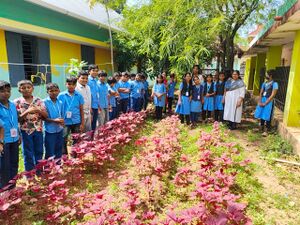 43252 adukkalathottam 3.jpeg