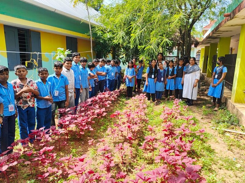 പ്രമാണം:43252 adukkalathottam 3.jpeg