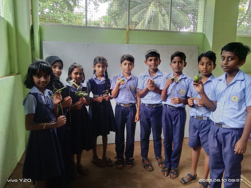 പ്രമാണം:45259 nimups .jpg