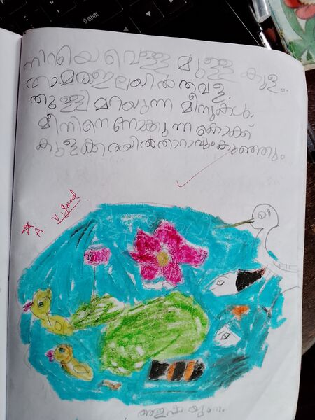 പ്രമാണം:47541-KKD-KUNJ-AISHA YUMNA .jpeg