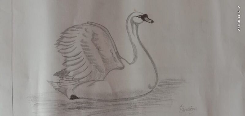 പ്രമാണം:Drawing 4.jpg