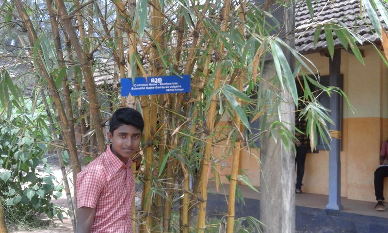 പ്രമാണം:Naming 18.jpg