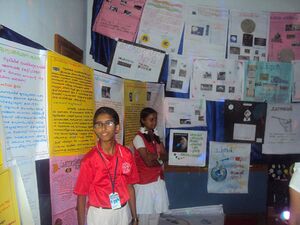 Scfair 14 35052 (4).JPG