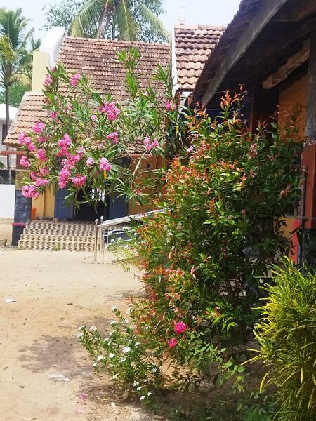 പ്രമാണം:Svd garden.jpeg