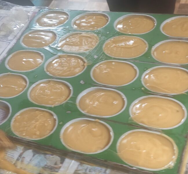 പ്രമാണം:12027 SOAP.jpg