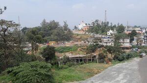 15462-Ente Gramam2.jpg