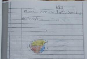 19741-MLP-KUNJ-MOHAMMED AMIR.jpg