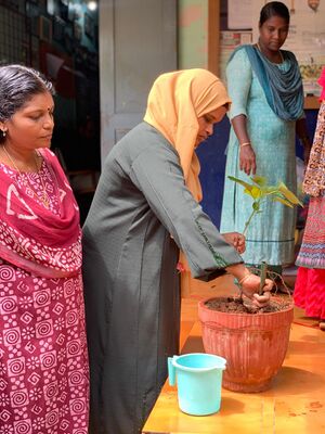 19808-virksha thai nadal udghadanam.jpeg