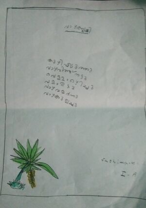 21443-PKD-KUNJ-FATHIMA M.jpg