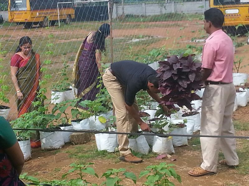 പ്രമാണം:29030 2.jpg