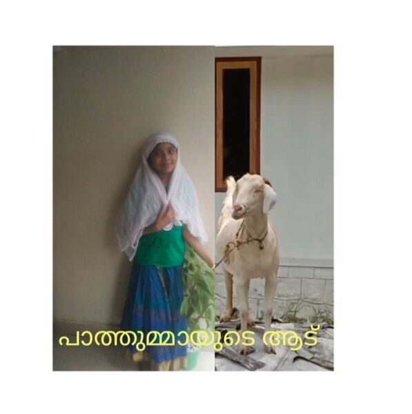 പ്രമാണം:36278 ml4.jpeg