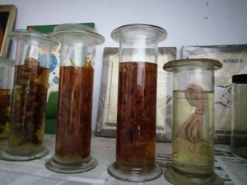 പ്രമാണം:42021 100092.jpg