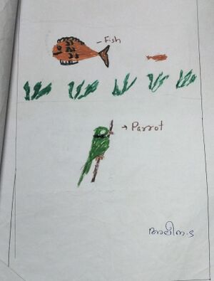 42431-TVM-KUNJ-Aleena S.jpeg