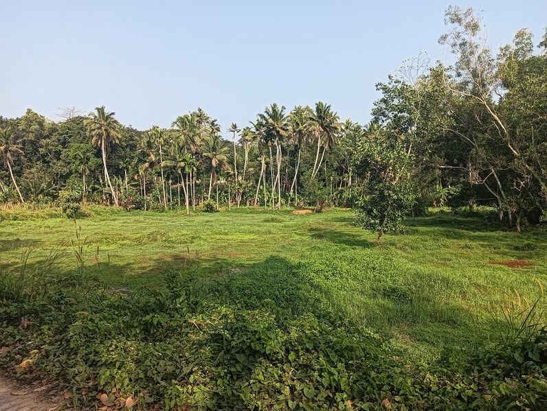പ്രമാണം:42437 My Village.jpg