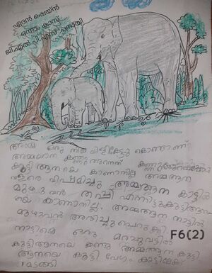 47503-KKD-KUNJ-ETHANE SHANE.jpg