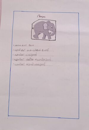 48519-MLM-KUNJ-JASMIL BILAL.jpg