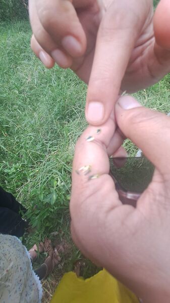 പ്രമാണം:Environment tt.jpg