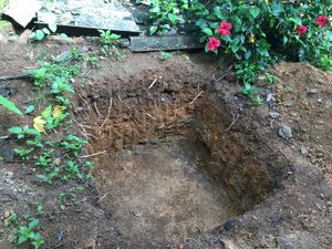 IMG 3644-3024x2268.JPG