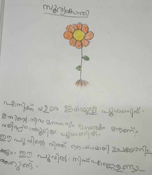 പ്രമാണം:MAYOOKHA P 1B.jpg