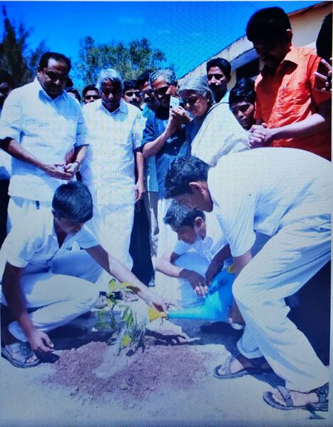 പ്രമാണം:Ss activity.jpg