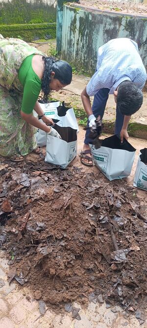 12069 veg gardern2.jpg