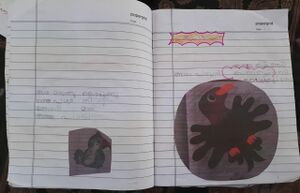 13842-KNR-KUNJ-ADAM BIN NASAR.jpg