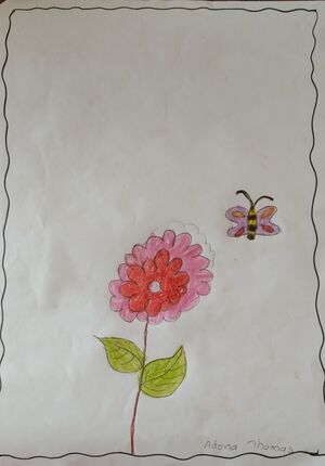 14863-KNR-KUNJ-ADONA THOMAS.jpg