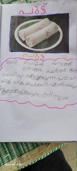 പ്രമാണം:15408-WYD-KUN-ANESHMIKA.jpg