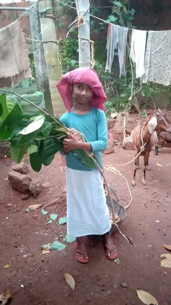 പ്രമാണം:18402 13.jpg